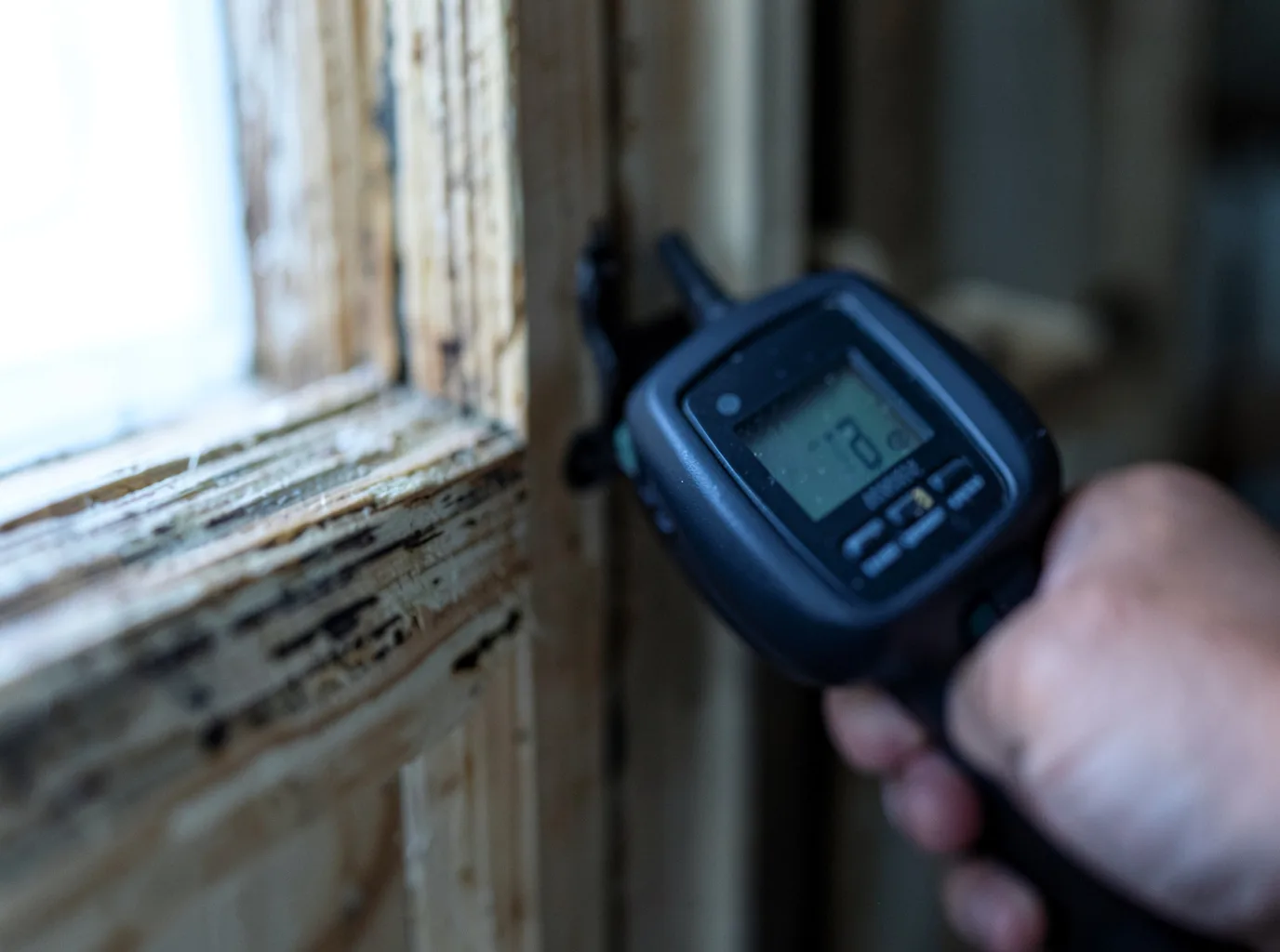 Moisture Inspection And Documentation in New London, IA